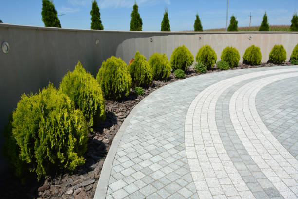 Best Local Driveway Pavers  in Hudson, CO